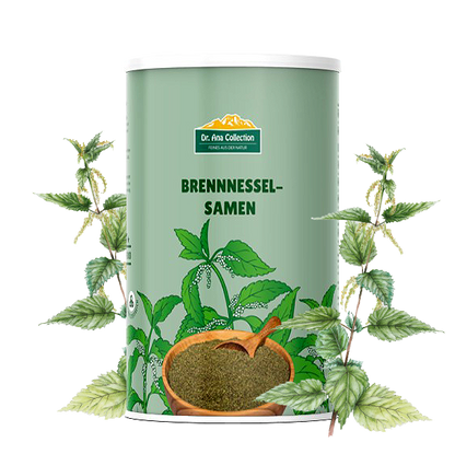 Brennnesselsamen
