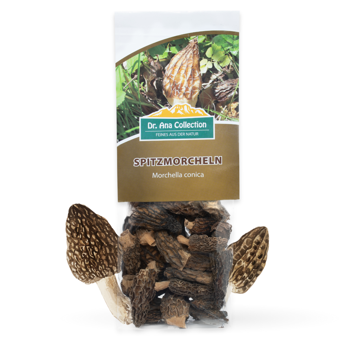 Dried pointed morel whole heads